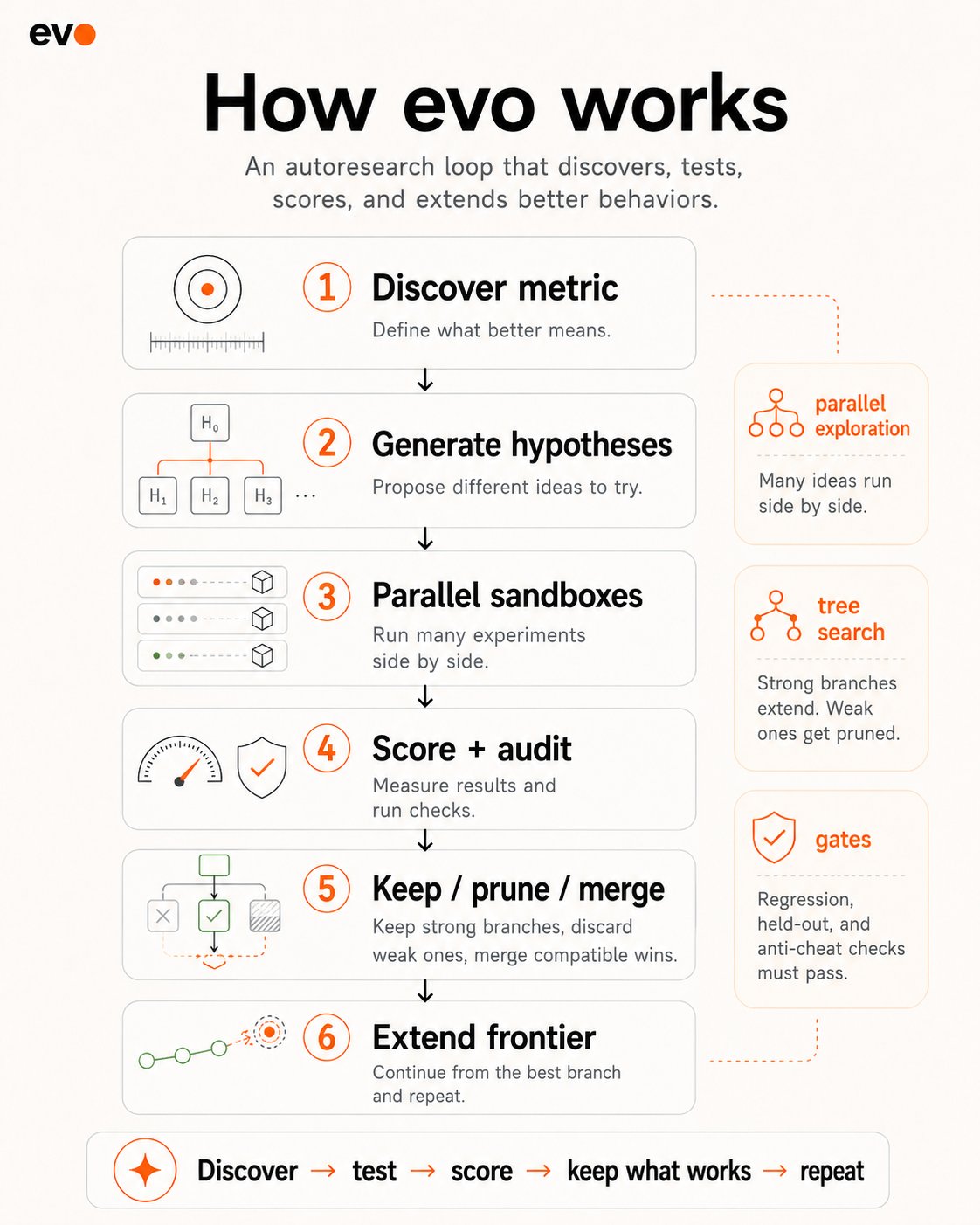 Infographic: How evo works — an autoresearch loop. 1) Discover metric, 2) Generate hypotheses, 3) Parallel sandboxes, 4) Score and audit, 5) Keep, prune, or merge, 6) Extend frontier. Side notes: parallel exploration runs many ideas side by side, tree search extends strong branches and prunes weak ones, and gates enforce regression, held-out, and anti-cheat checks. Discover, test, score, keep what works, repeat.